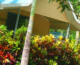 Litchfield Tourist Park - Accommodation Bookings 4