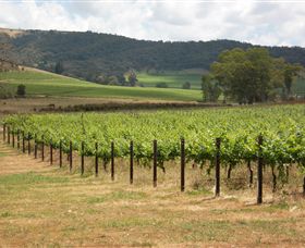 Acacia Park Farm House - Accommodation Bookings 7