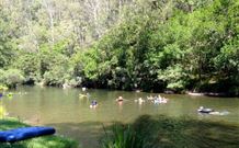 Ferndale Caravan Park - Accommodation Bookings 3