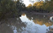 Four Mile Camping Reserve - Accommodation Bookings 0