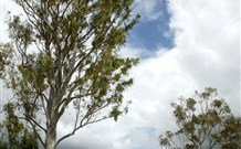 Glen Villa Resort And Tourist Park Casino - Accommodation Bookings 0