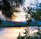 Tweed Coast Holiday Parks Hastings Point - Accommodation Bookings