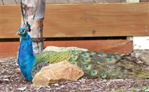 Lake Hume Tourist Park - Accommodation Bookings 1