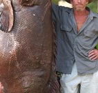 Michael's Clarence Valley Retreat - Accommodation Bookings