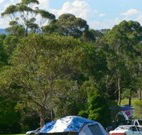 Milton Valley Holiday Park - Accommodation Bookings