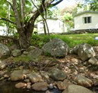 Mt Warning Rainforest Park - Accommodation Bookings