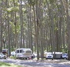 Mystery Bay Camping Area - Accommodation Bookings