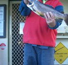 Rainbow Pines Tourist Caravan Park - Accommodation Bookings
