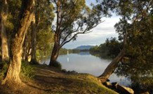 South West Rocks Tourist Park - South - Accommodation Bookings 0