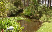 Tallowood Ridge B And B - Accommodation Bookings 0