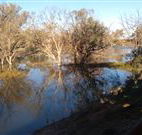 Warrawong on the Darling - Accommodation Bookings