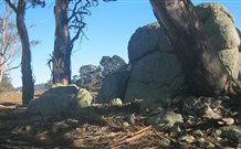 Countegany NSW Accommodation Bookings