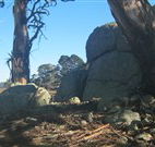Warreen Farmstay Rural Accommodation - Accommodation Bookings