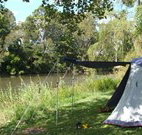 Williams River Holiday Park - Accommodation Bookings