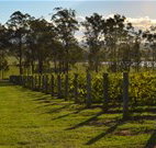 H Boutique Hotel - Pokolbin - Accommodation Bookings