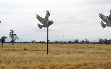 Gulargambone NSW Accommodation Bookings