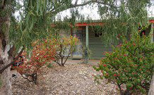 Lightning Ridge Outback Resort And Caravan Park - Lightning Ridge - Accommodation Bookings 3