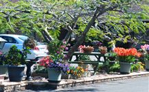 Milgate Motel - Casino - Accommodation Bookings 2