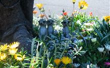 Milgate Motel - Casino - Accommodation Bookings 3