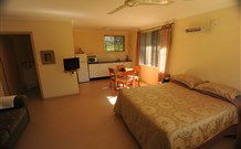 Ned's Bed Horse And Dog-Otel - Clybucca - Accommodation Bookings 0
