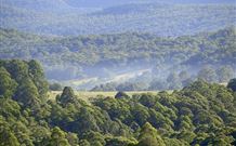 Nowendoc NSW Accommodation Bookings