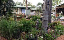 Oasis Motel - Accommodation Bookings 1