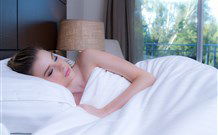 Remington Motor Inn - Muswellbrook - Accommodation Bookings 0