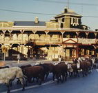 The Commercial Hotel Coonamble - Coonamble - Accommodation Bookings