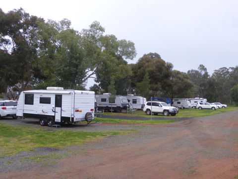Peak Hill Caravan Park - Accommodation Bookings 5
