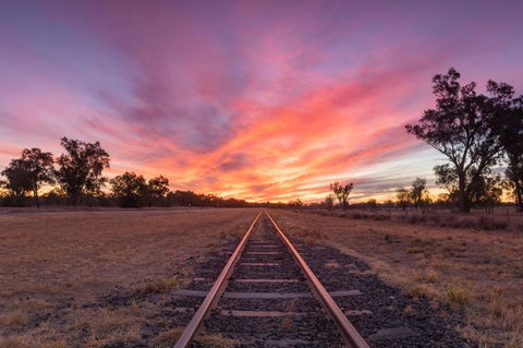 White Gums Motor Inn - Accommodation Bookings 4