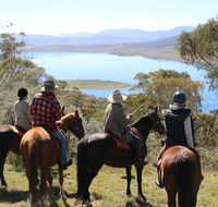 Reynella Homestead and Horseback Rides - Accommodation Bookings