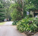Tamborine Mountain Caravan  Camping - Accommodation Bookings