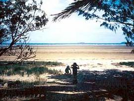 Midge Point QLD Accommodation Bookings