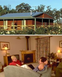 Twin Trees Country Cottages - Accommodation Bookings 0