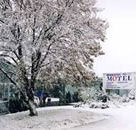Maneroo Motel - Accommodation Bookings
