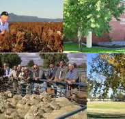 Southern Cross Motor Inn - Accommodation Bookings