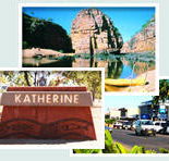 Red Gum Tourist Park - Accommodation Bookings