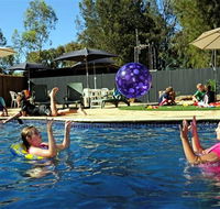 Kingston On Murray Caravan Park - Accommodation Bookings