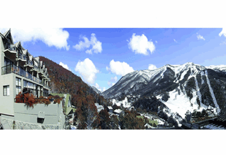 The Lantern Apartments - Accommodation Bookings