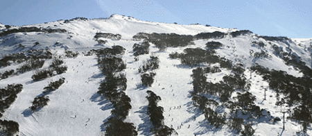 Thredbo Alpine Hotel - Accommodation Bookings