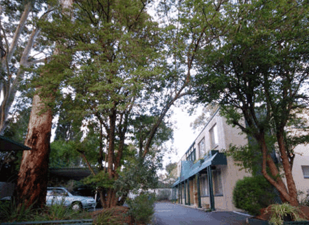 Adelaide Oakford Apartments - Accommodation Bookings 0
