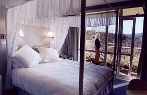 Port Arthur Motor Inn - Accommodation Bookings 4