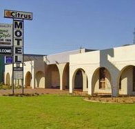 Citrus Motel - Accommodation Bookings
