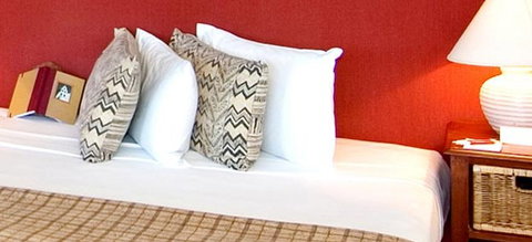 Chimes Spa Retreat - Accommodation Bookings 2