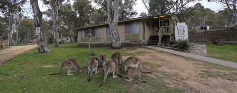 Kosciuszko Tourist Park - Accommodation Bookings 5