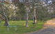 Kosciuszko Tourist Park - thumb 6