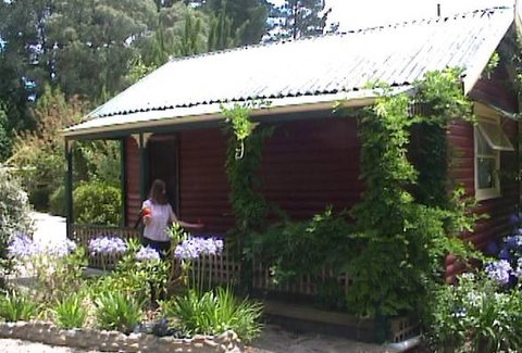 Cedar Lodge Cabins - Accommodation Bookings 1