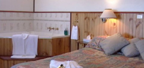 Cedar Lodge Cabins - Accommodation Bookings 2