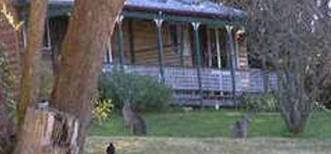 Cedar Lodge Cabins - Accommodation Bookings 3