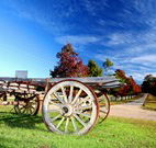 The Oaks Ranch and Country Club - Mossy Point - Accommodation Bookings